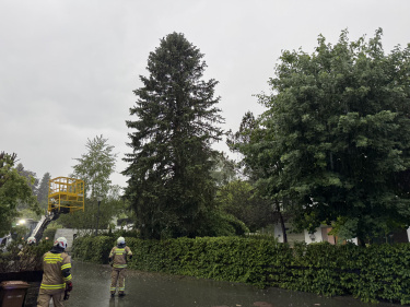 20.05.2025 Baum droht umzustürzen
